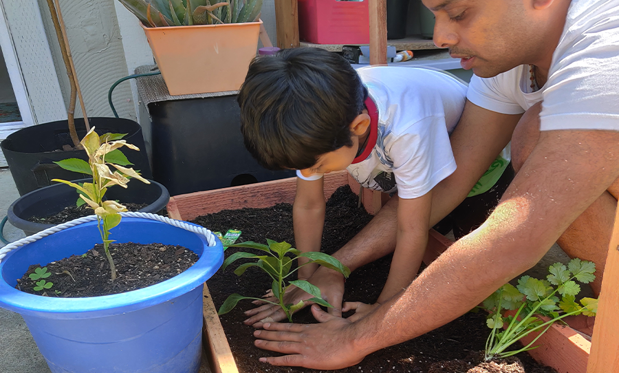 Father and son plant a raised bed garden.